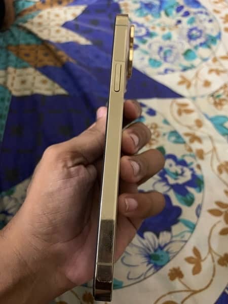 13promax 256Gb Non pta 4month sim working 3