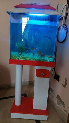 Fish Aquarium for Sale.