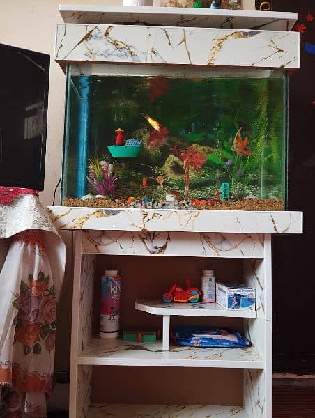 Fish Aquarium 0