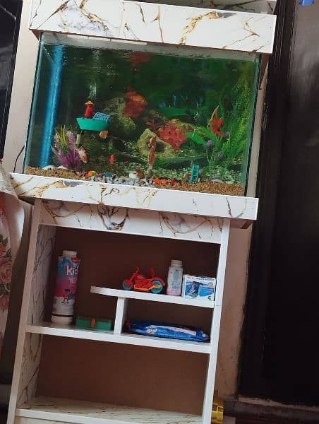 Fish Aquarium 2