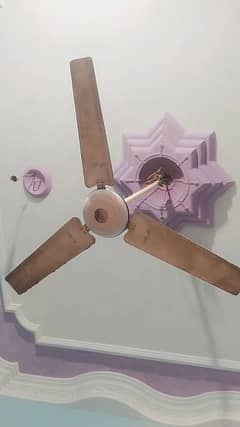 GFC CELLING FAN NEAT AND CLEAN CONDITION