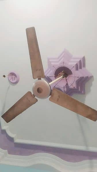 GFC CELLING FAN NEAT AND CLEAN CONDITION 1