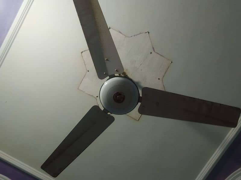 GFC CELLING FAN NEAT AND CLEAN CONDITION 2