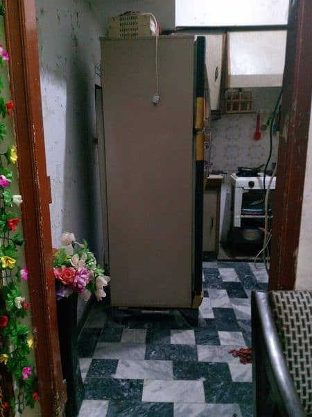 PEL Refrigerator Janine compressor and Gas 1