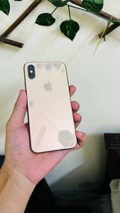 iphone xs