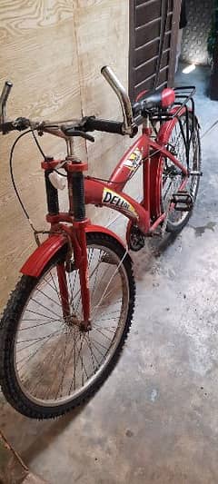 Deluxe bicycle