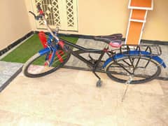 New Bicycle  Lush Condition 0