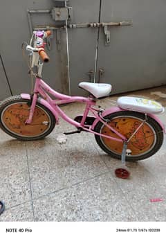 Pink Bicycle and Tricycle