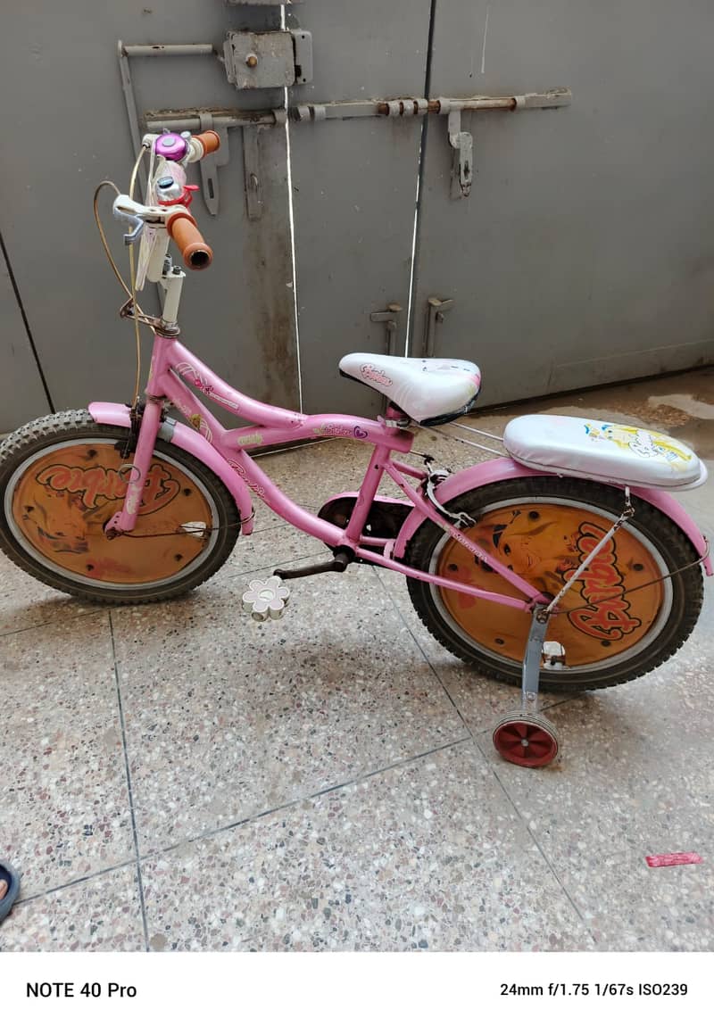 Pink Bicycle and Tricycle 0