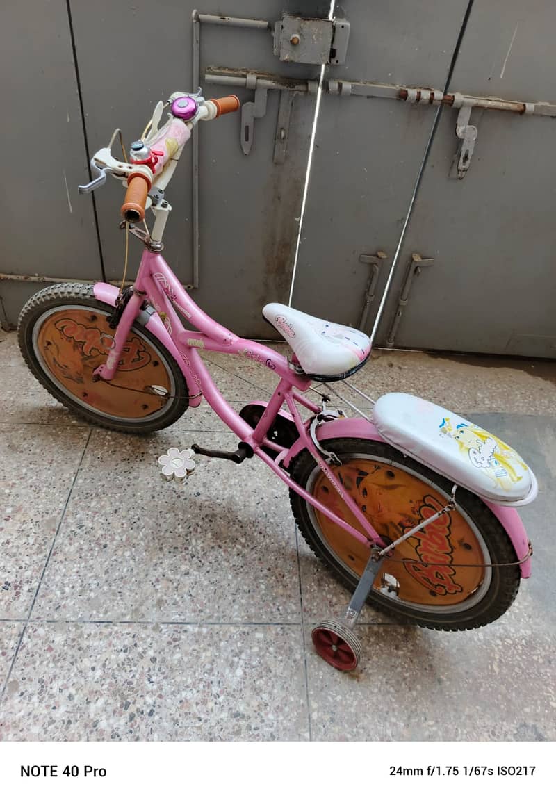 Pink Bicycle and Tricycle 1