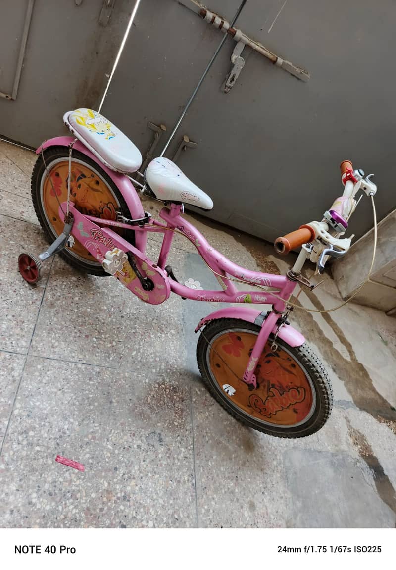 Pink Bicycle and Tricycle 2