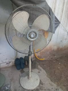 Younas Pedestal Fan