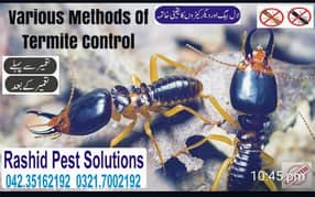 Termite control,Deemak control,Dengue Spray, Fumigation,Pest Control