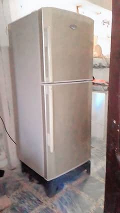 haier refrigerator