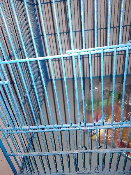 4 portion Cage for sale 2