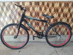 Phoniex Bicycle BMX