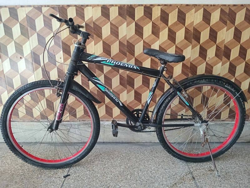 Phoniex Bicycle BMX 0