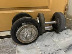 20kg dumbbells