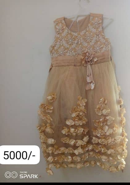 Kids Fancy Dresses 19