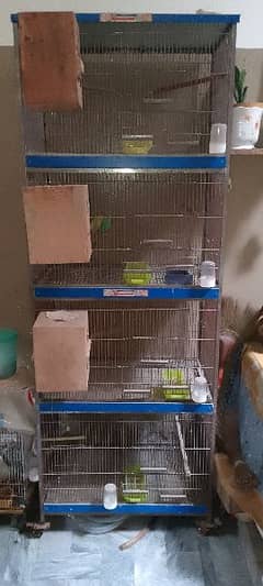 Love Birds Cage/ Parrot Cage/ Birds Cage