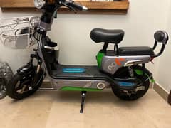 Chinese Electric Bike