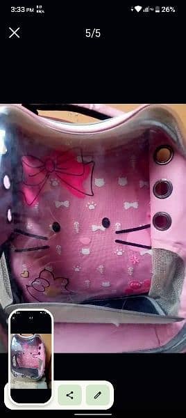 Cat carrier transport bag 2