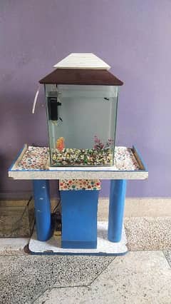 Fish Aquarium