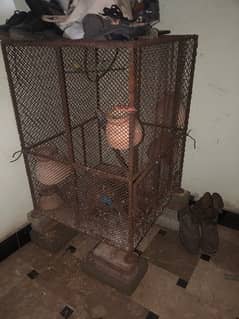 cage for sale