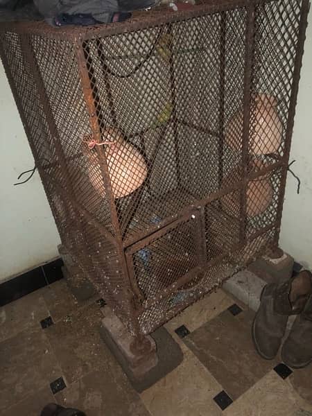 cage for sale 4