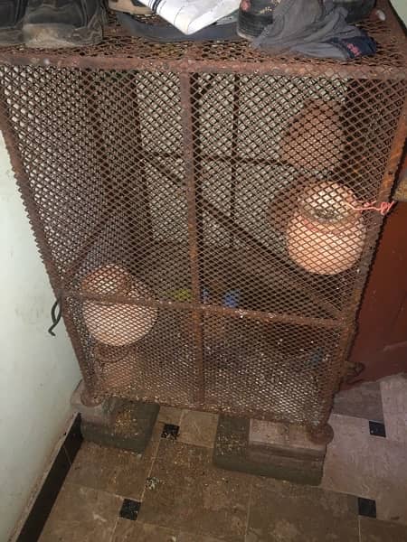 cage for sale 5