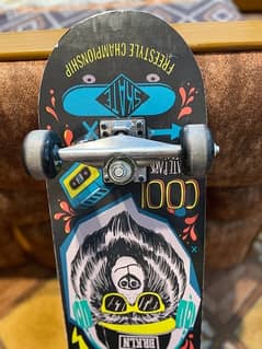 SKATE BORD FULL SIZE CAME FROM RUSSIA IMPORTED SKATE BORD1400