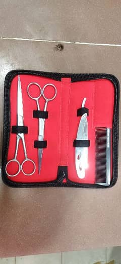 Personal barber Kit