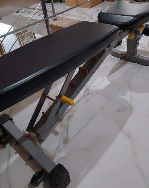 Workout Bench (Gym Equipment) 1