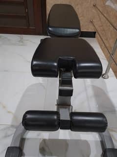 Workout Bench (Gym Equipment)