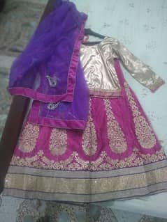 Heavy embroidery Sharara