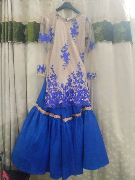 Silk  Net Shirt and Gharara 0