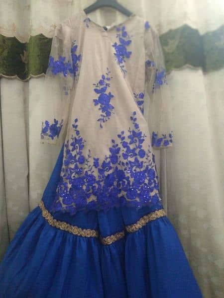 Silk  Net Shirt and Gharara 1