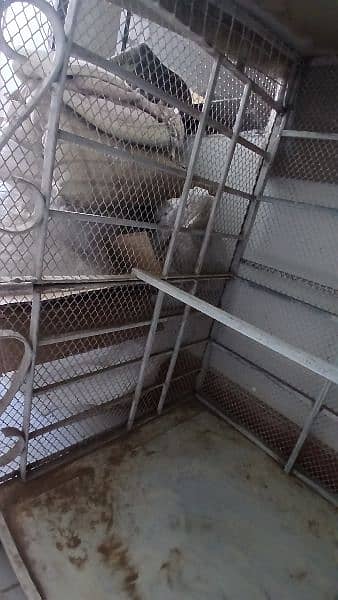 New cage for animals and generator 9