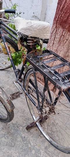 24 inch cycle good condition new tyrtube