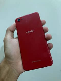 Vivo