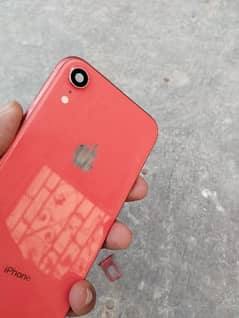 Iphone XR orignal back casing