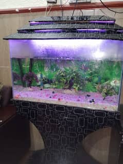 aquarium. . . good condition