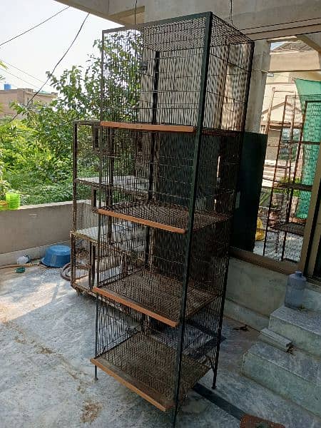 parrot cages for sale and love birds 8