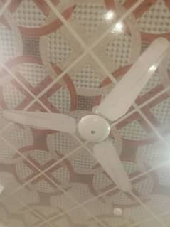 ceiling fan