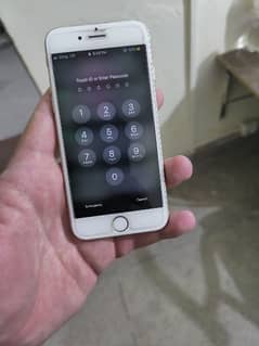 iphone 6 (16gb)