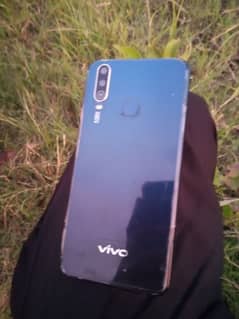 vivo