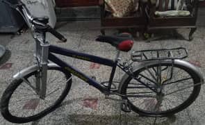 phoenix bicycle for sale