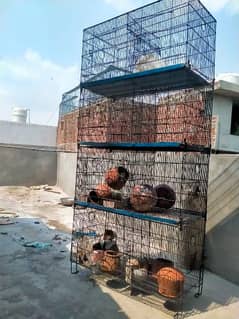 8 portions cage for sale in Lahore