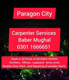 Carpenter Services in Paragon City at Reasonable Rates 0301  1666651