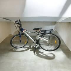 mountain bike for sale